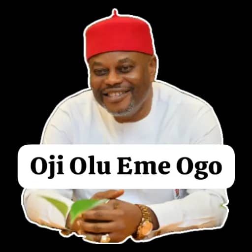 NNAJI: A GENTLE FORCE IN A ROUGH POLITICAL AGE