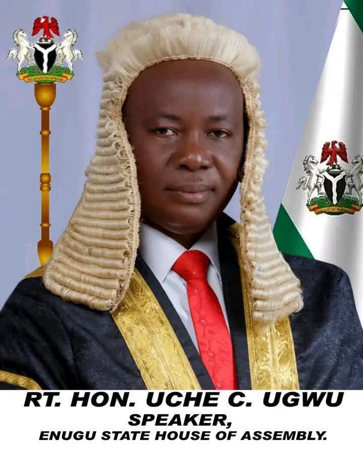 State Police or State Gestapo? How the Enugu State House of Assembly’s Rapid Resolution Paves the Way for Executive Tyranny Ahead of 2027